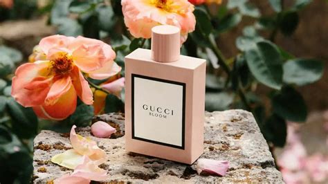 top notes gucci bloom|gucci bloom longevity.